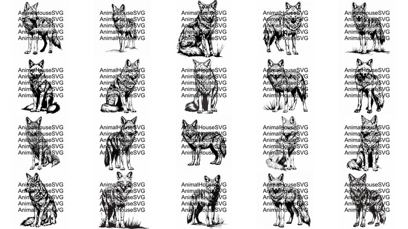 Pu&ograve; includere: Un set di 20 illustrazioni digitali in bianco e nero di un coyote, un tipo di cane selvatico, in varie pose. Le illustrazioni sono in uno stile semplice, di linea.