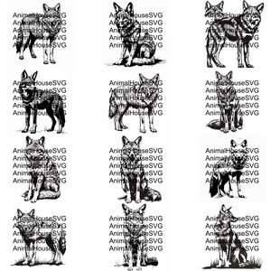 Pu&ograve; includere: Un set di 20 illustrazioni vettoriali in bianco e nero di lupi in varie pose. I lupi sono raffigurati in uno stile realistico, con pelliccia dettagliata ed espressioni facciali. Le illustrazioni sono perfette per l'uso in una variet&agrave; di progetti, come la progettazione di siti Web, i media stampati e i social media.