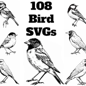Puede incluir: Una colección de 108 ilustraciones de pájaros en blanco y negro en formato SVG. Los pájaros están dibujados en un estilo realista y son perfectos para usar en proyectos digitales.