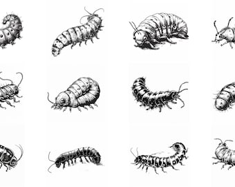 Caterpillar SVG-pakket: 88 insectenontwerpen (digitale download)