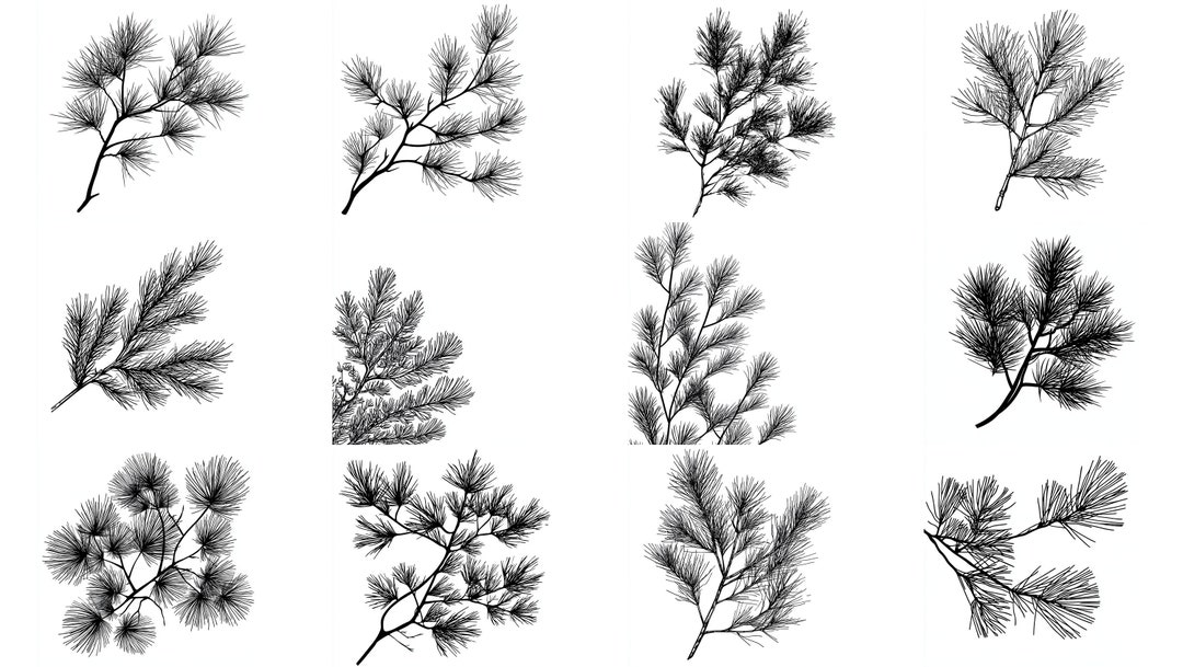 Pine Branch SVG Pack: 124 Crafting Designs (digital Download) - Etsy