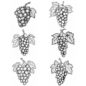 Grape SVG Bundle: 100 Fruit Designs (Digital Download)
