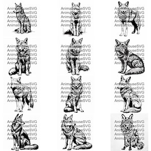 Pu&ograve; includere: Un set di 20 illustrazioni digitali in bianco e nero di un coyote in varie pose. Le illustrazioni sono in uno stile semplice, di linea.