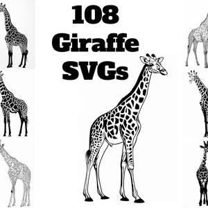Puede incluir: Una colección de 108 SVG de jirafas en blanco y negro. Las jirafas están en varias poses y estilos, algunas con manchas y otras sin. El texto "108 Giraffe SVGs" está escrito en letras negras en negrita en la parte superior de la imagen.