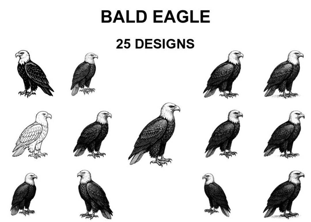 Bald Eagle SVG Bundle: Laser Cut Designs for Cricut, CNC - Etsy