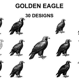 Golden Eagle SVG Bundle – 30 Laser Cut Files | CNC, Cricut, Glowforge, Sublimation | png jpg svg Designs
