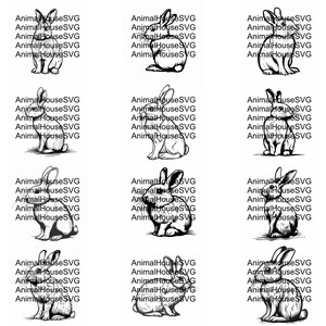 Bunny SVG Pack: 144 Unique Designs for Cricut, CNC (digital Download ...