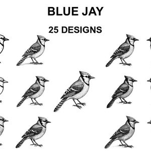 Blue Jay SVG Bundle: 25 Laser Cut Designs for Cricut, CNC, Sublimation
