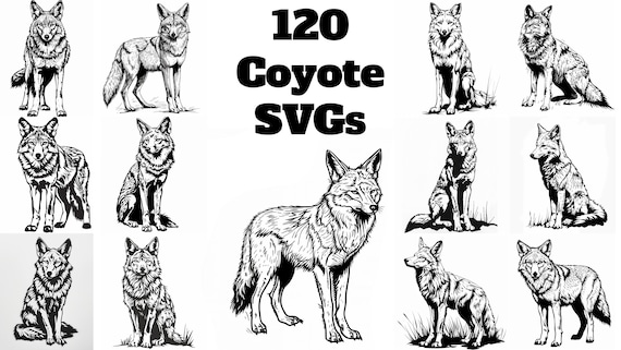 Coyote SVG Pack: 120 Unique Designs (Digital Download)