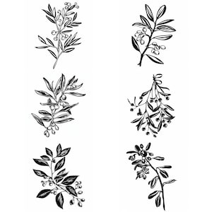Könnte beinhalten: Zehn Schwarzweißillustrationen verschiedener Zweigarten mit Beeren. Die Zweige sind in einer einfachen, stilisierten Art gezeichnet.