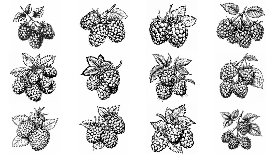 Cartoon Raspberry Svg Raspberry SVG Pack: 124 Fruit Designs, Cricut & Laser Cut (digital ...