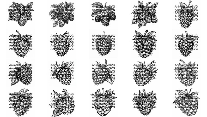 Black Raspberry Svg Raspberry SVG Pack: 124 Fruit Designs, Cricut & Laser Cut (digital ...