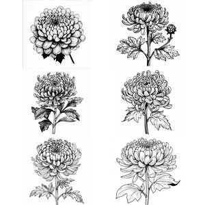Chrysanthemum Flower SVG Pack 112 Designs. Chrysanthemum Flower SVG, Chrysanthemum Flower JPG, Flower Lasercut svg, Flower Art, Flower svg