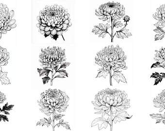 Chrysanthemum Flower SVG Pack: 112 Floral Designs (Digital Download)