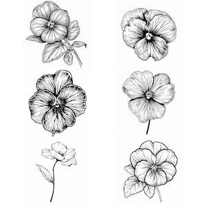 May include: A collection of detailed black and white illustrations of pansy flowers. The drawings showcase various angles and arrangements of the flowers, including close-ups and stems with leaves. The style is reminiscent of botanical art.