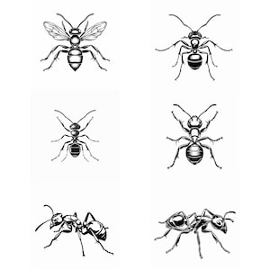 Ant SVG Pack 104 Unique Designs. Ant SVG, Ant JPG, Ant Lasercut, Ant Sublimation, Ant Lasercut svg, Ant Engraving, Insect Art, Insect svg