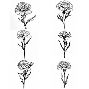 Peut inclure: Douze dessins au trait en noir et blanc de œillets. Chaque œillet est dessiné avec des détails complexes, mettant en valeur les pétales et les tiges délicats.