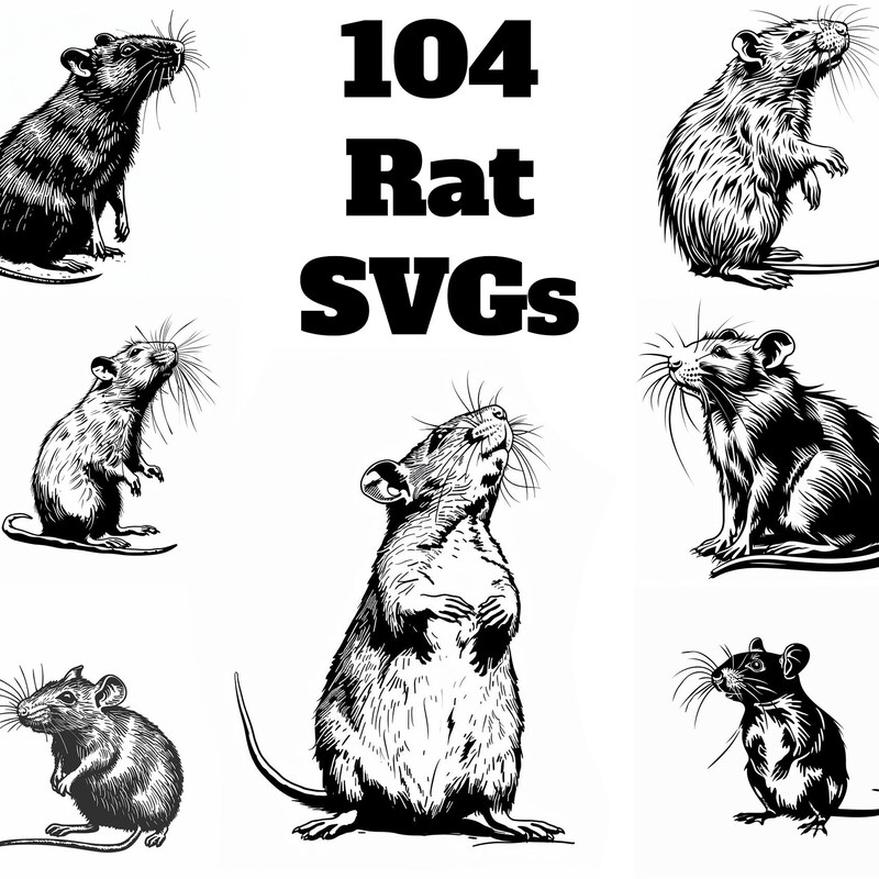Rat Svg - Etsy
