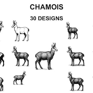 Chamois SVG-paket: 30 laserskurna designer för Cricut, CNC, sublimering