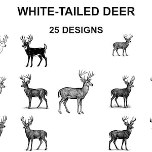 Puede incluir: Una colección de 25 diseños de ciervos de cola blanca en varias poses y estilos. Las ilustraciones son en blanco y negro, con algunos ciervos representados en negro o blanco sólido. El texto "WHITE-TAILED DEER" y "25 DESIGNS" está en la parte superior.