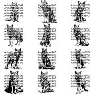 Pu&ograve; includere: Un set di 20 illustrazioni digitali in bianco e nero di un lupo, ognuna con una posa diversa. Le illustrazioni sono perfette per l'uso in progetti di artigianato, scrapbooking o design digitale.