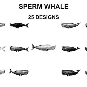 May include: A collection of sperm whale illustrations in black and white. The image features the text "SPERM WHALE" and "25 DESIGNS". The whales are shown in different poses and shades, from light grey to solid black.