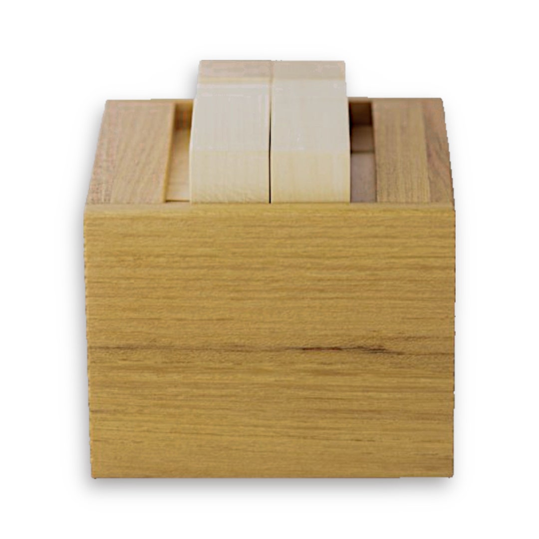 Akku Box Wooden Puzzle, Pelikan Puzzles, Wood Puzzle, Brain Teaser