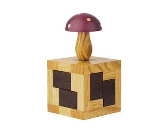 The Talisman Wood Puzzle from Pelikan Puzzles is wooden IQ Logic Puzzle, Brain Teaser, Puzzle Master, Burr Puzzle