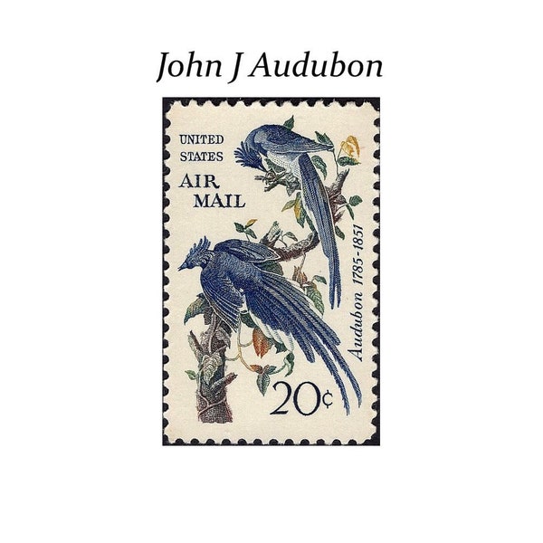 Pack of 10 .. 20c John J Audubon Columbia Jays Airmail | Vintage Unused US Postage Stamps | Blue Jays stamp | Airmail stamps | Blue Birds