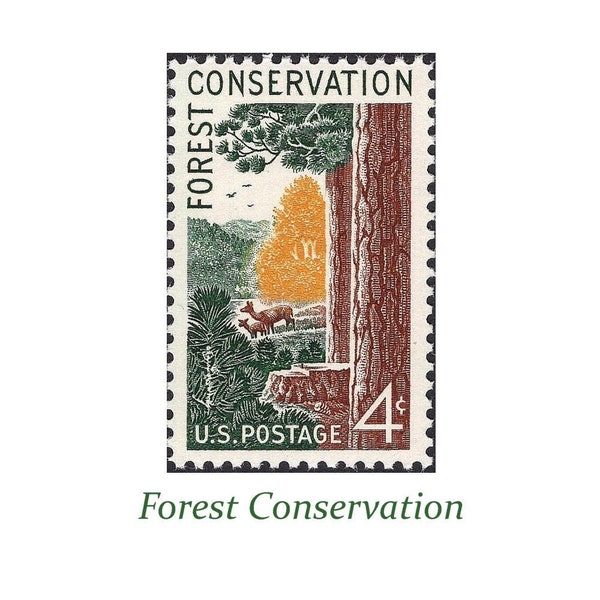 Pack of 10 | 4c Forest Conservation | Vintage UNused US Postage Stamps | Trees and Deer | Evergreens | Botanical | Boho | Stamps for mailing