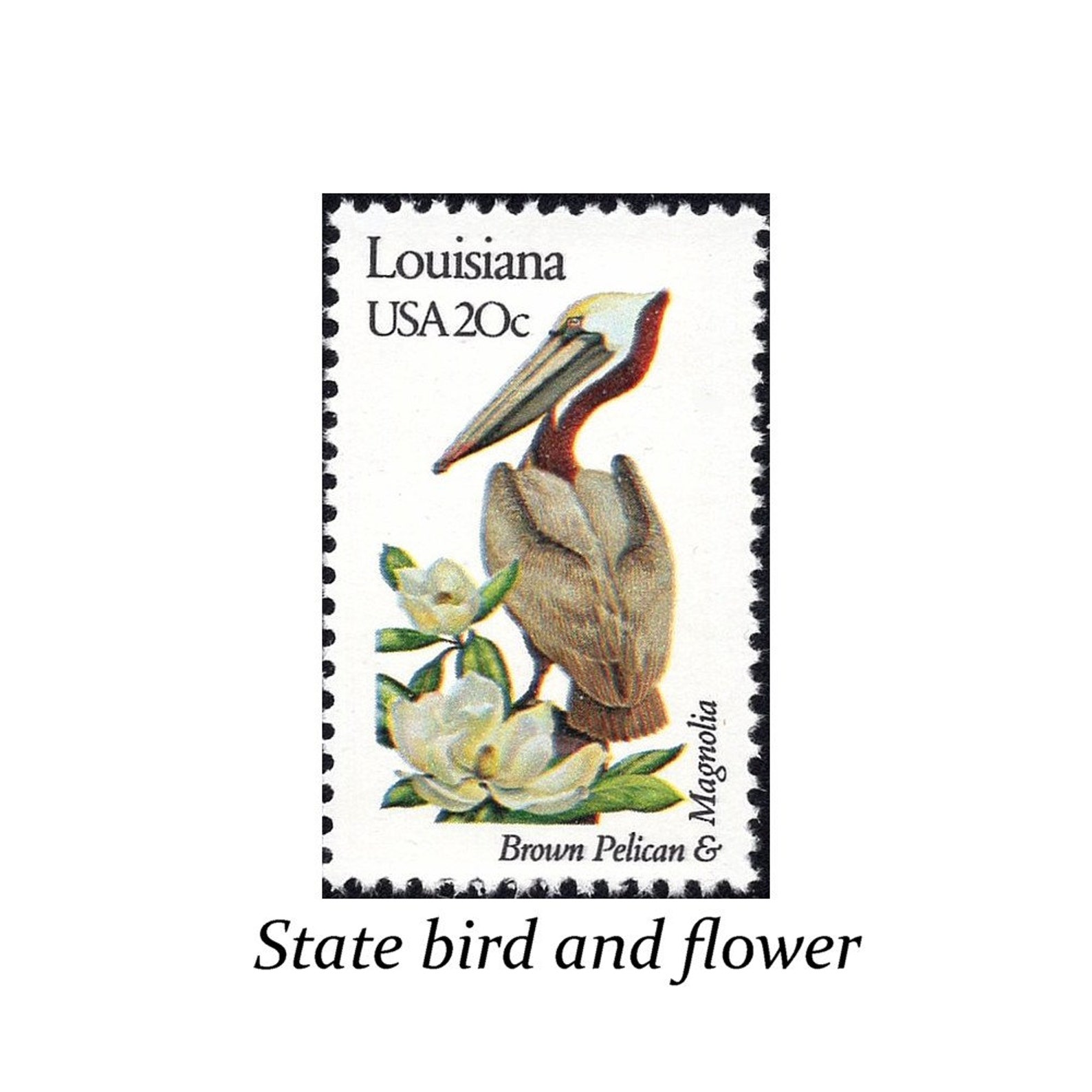 FIVE 20c LOUISIANA State Bird and Flower Stamps Vintage - Etsy