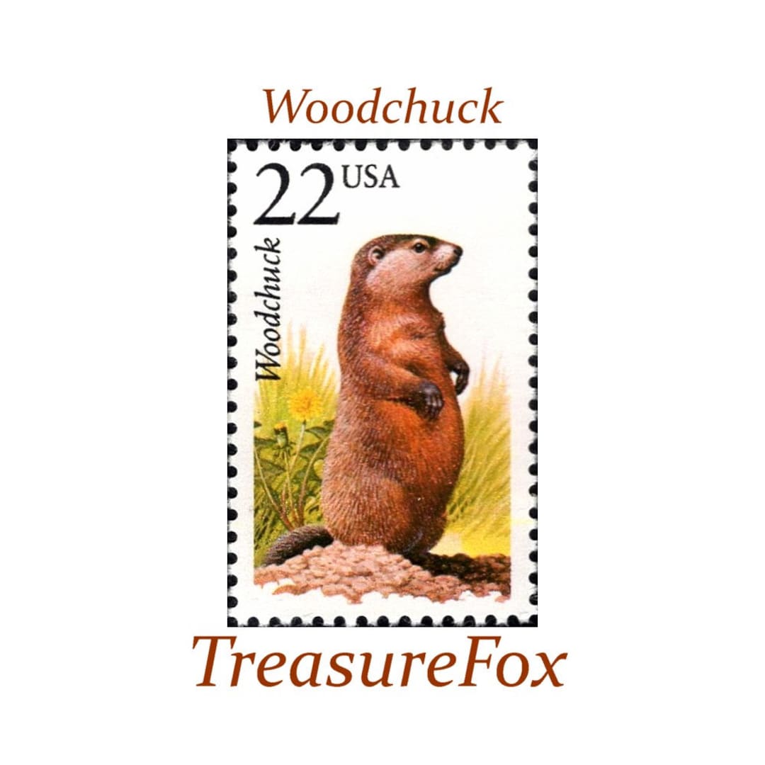 Five 22c Woodchuck Stamp | Unused US Postage Stamp | Pack of 5 Stamps ...