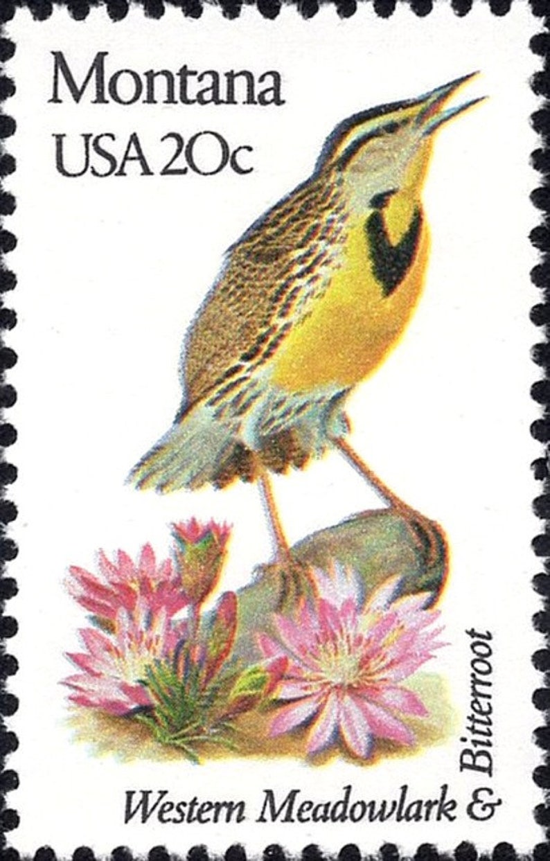 Five 20c MONTANA State Bird and Flower stamp Vintage Unused Etsy
