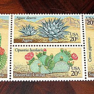 20c Cactus Plants stamps .. Pack of 50 .. Vintage Unused US postage stamps .. Southwestern themed stamps for weddings and mailing image 2