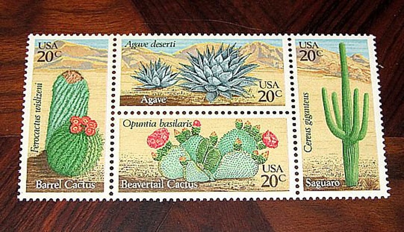 20c Cactus Plants stamps .. Pack of 50 .. Vintage Unused US postage stamps .. Southwestern themed stamps for weddings and mailing image 2