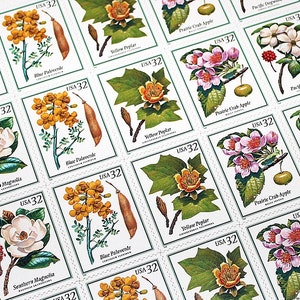 10 timbres d'arbres en fleurs... Timbres-poste américains vintage inutilisés | Beautés botaniques | La nature dans toute sa splendeur, forêt de Walden, magnolia du sud