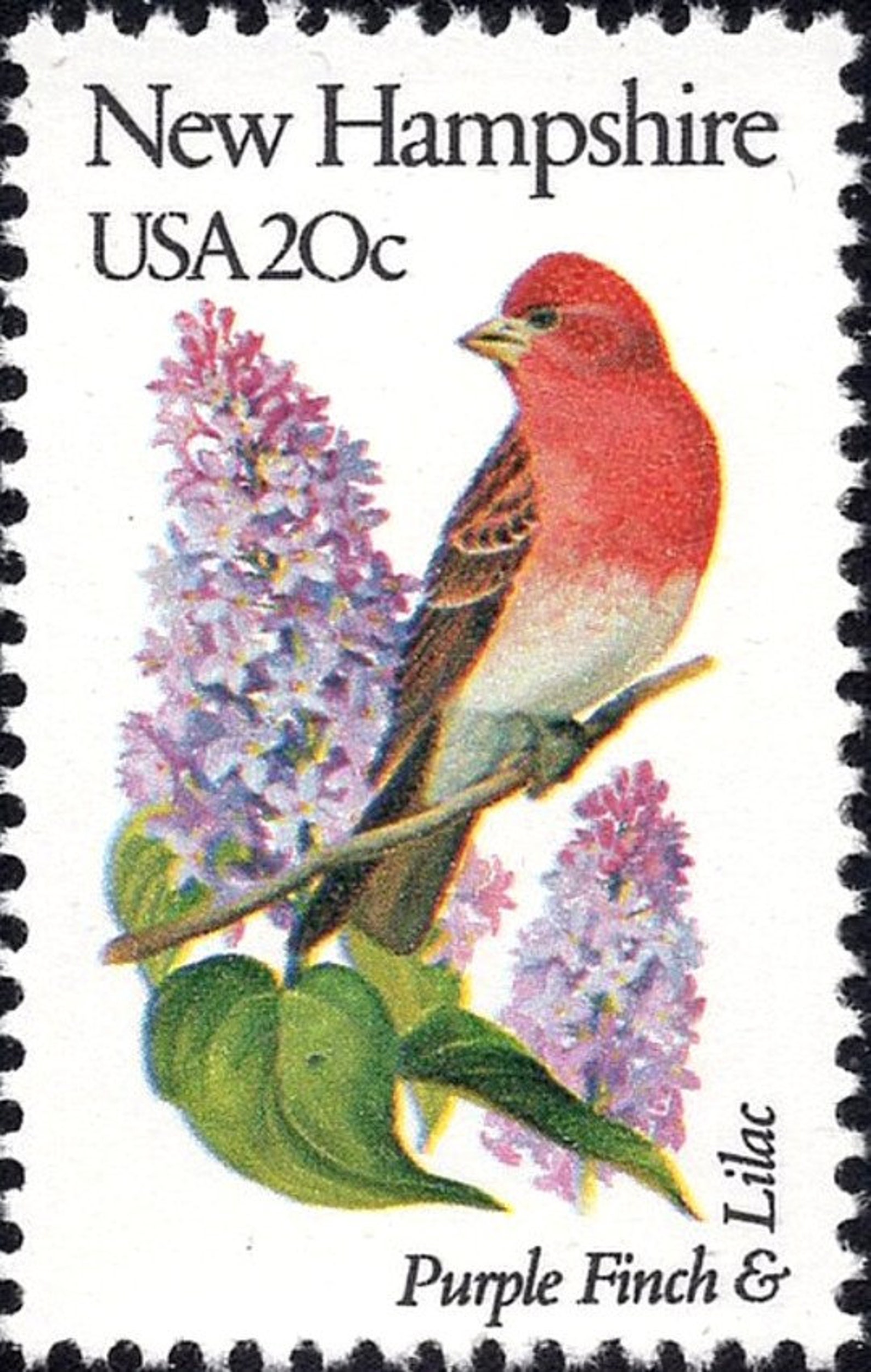 Five 20c NEW HAMPSHIRE State Bird and Flower stamp Vintage | Etsy