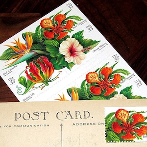 Vingt timbres 33 c de fleurs tropicales... Timbres-poste vintage inutilisés Mariage tropical, Mariage en Floride et Paradis du sud