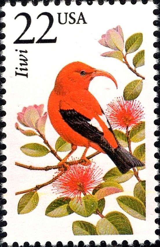 Five 22c Iiwi Stamp | Unused US Postage Stamps | Pack of 5 Stamps ...