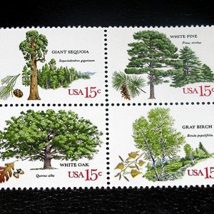 Sellos postales antiguos de EE. UU. sin usar. 20 sellos de árboles estadounidenses. 4 árboles diferentes destacados: bodas en el bosque, cacerías en la naturaleza, aves, zorros.