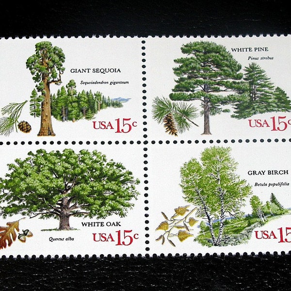 Vintage MINT Unused US postage stamps .. 20 American Trees Stamps  .. 4 Different Trees Featured, Forest weddings, nature hunts, birds, fox