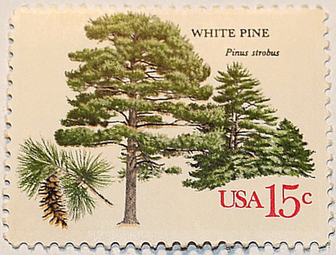 TEN 15c White Pine Tree Stamps .. Vintage Unused US Postage | Etsy