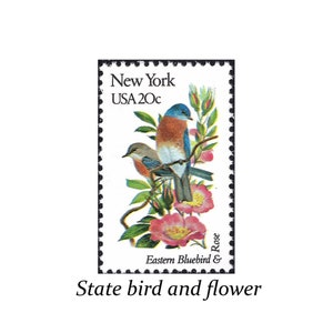 Cinco sellos de 20 c. con aves y flores del estado de Nueva York / Sello postal estadounidense antiguo sin usar / Long Island / Ramo de rosas / Ciudad de Nueva York / Manzana / Amor