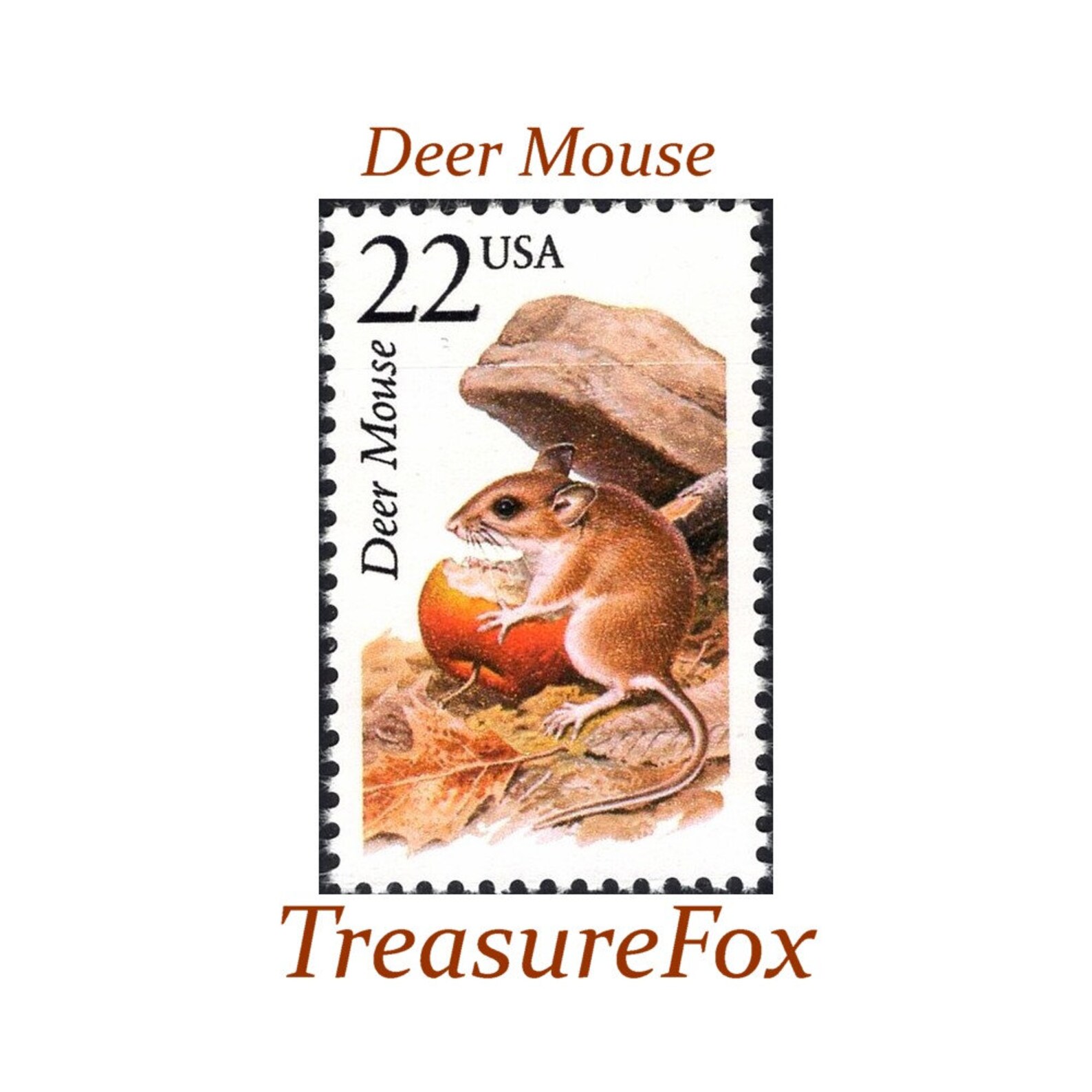 Five 22c Deer Mouse Stamp | Unused US Postage Stamps | Pack of 5 Stamps ...
