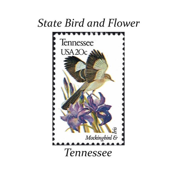 Five 20c TENNESSEE State Bird and Flower stamps | Vintage Unused US Postage Stamp | Mockingbird | Southern Wedding | Stamps for Mailing