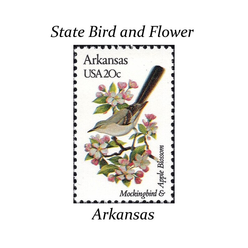 Five 20c ARKANSAS State Bird and Flower Stamps Vintage Etsy