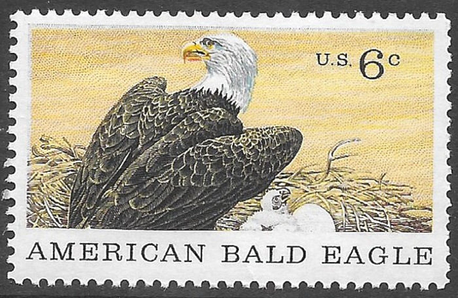 TEN 6c American Bald Eagle Stamps .. Vintage Unused US Postage Etsy