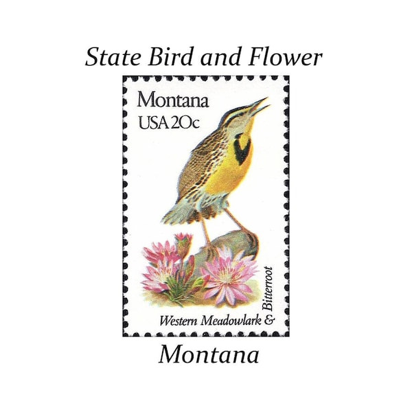 Five 20c MONTANA State Bird and Flower stamp | Vintage Unused US Postage Stamp | Rocky Mountain Bride | Boho Bride | Yellow Bird | Flowers