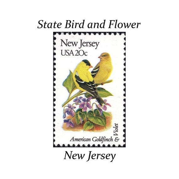 FIVE 20c New Jersey State Bird and Flower Stamps | Vintage