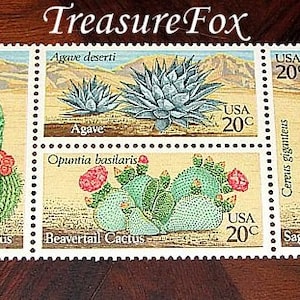 Sellos de plantas de cactus 20c .. Paquete de 50 .. Sellos postales vintage de EE. UU. sin usar .. Sellos temáticos del suroeste para bodas y correo